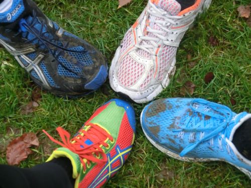 Crosslauf 2012